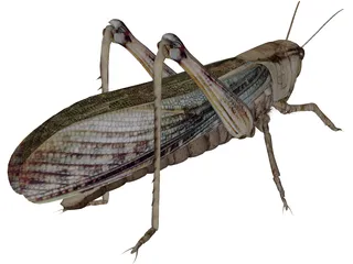 Grasshopper 3D Model preview