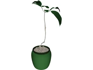 Plant 3D Model preview