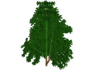 Juniper Bush 3D Model preview