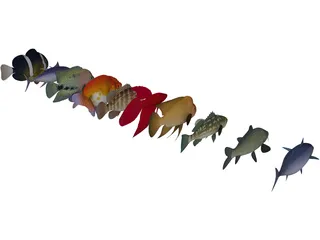 Fish Collection 3D Model preview