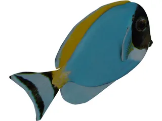 Amblyrhyncotes 3D Model preview