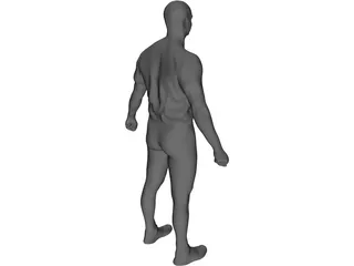 Human 3D Model preview