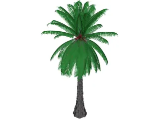 Tree 3D Model preview