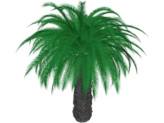 Tree 3D Model preview