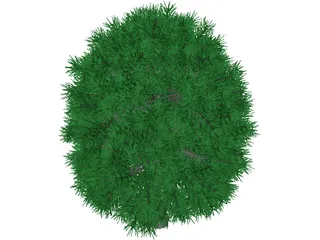 Tree 3D Model preview