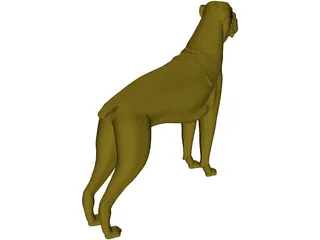 Dog Boxer 3D Model preview