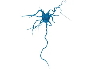 Neuron 3D Model preview