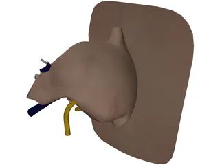 Ear 3D Model preview