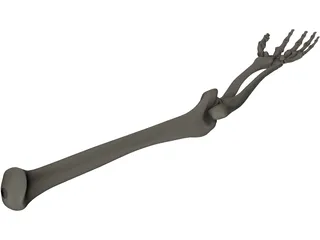 Hand 3D Model preview