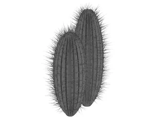 Cactus 3D Model preview