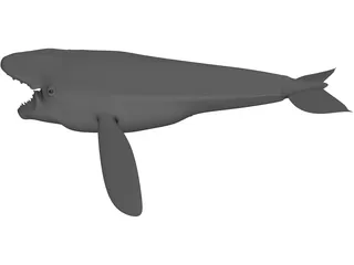 Whale 3D Model preview