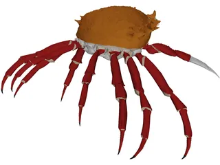 Crab (Maia Squinado) 3D Model preview