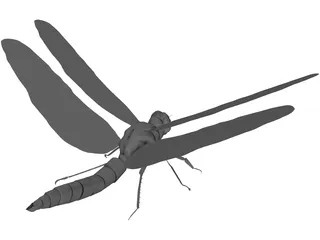 Dragon Fly 3D Model preview