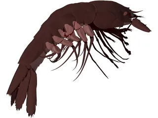 Large Red Prawn 3D Model preview