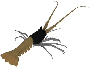 Lobster (Palinurus Elephas) 3D Model preview
