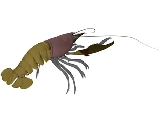 Lobster (Homarus Gammarus) 3D Model preview