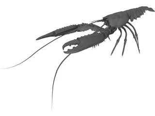 Lobster (Nephrops Norvegicus) 3D Model preview