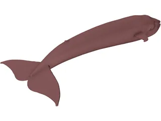 Whale Blue 3D Model preview