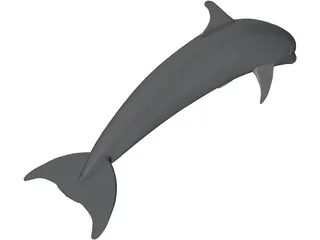 Dolphin Bottle-Nosed 3D Model preview