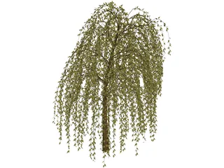 Willow Tree 3D Model preview