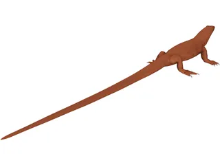 Lizard 3D Model preview