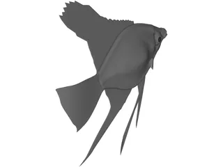 Pterophyum Scalare 3D Model preview