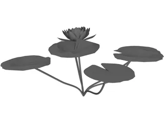 Lilly Water 3D Model preview