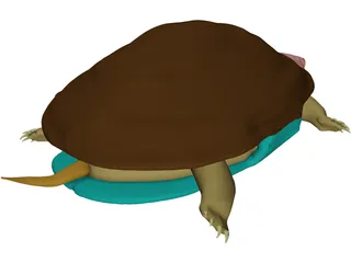 Turtle (Terrapene Ornata) 3D Model preview