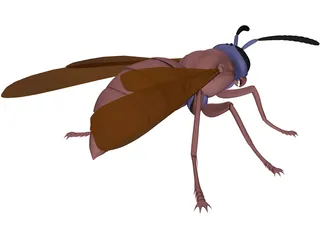 Wasp 3D Model preview