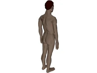 Man with Internal Organs 3D Model preview
