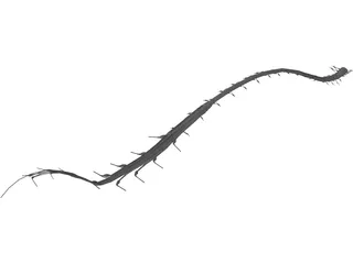 Spinal Cord 3D Model preview