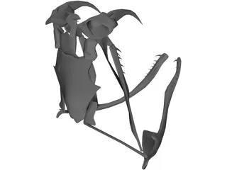 Snake Skeleton 3D Model preview