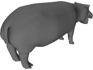 Hippopotamus 3D Model preview