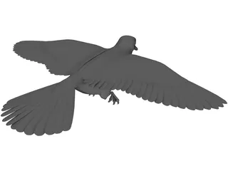 Dove 3D Model preview