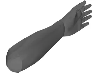 Hand Male 3D Model preview