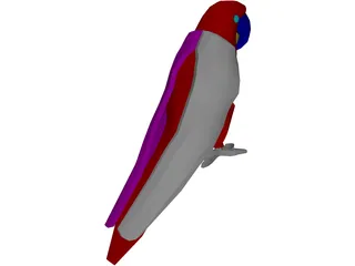 Macaw Hyacinth 3D Model preview