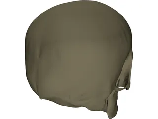 Skull Male 3D Model preview