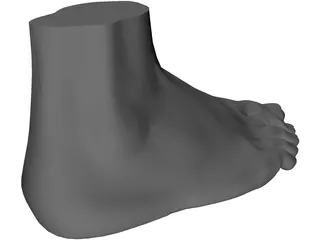 Foot 3D Model preview