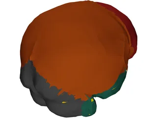 Dura Mater 3D Model preview