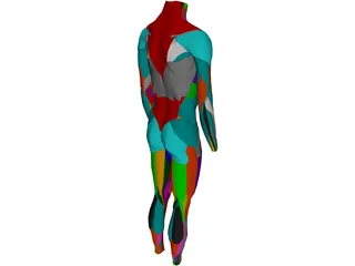 Surface Muscles Male 3D Model preview