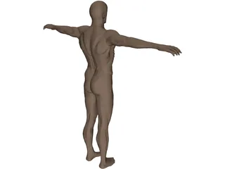 Man 3D Model preview