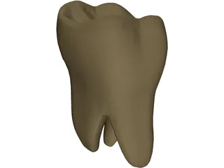 Molar 3D Model preview