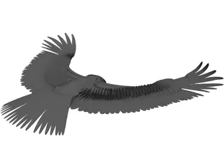 Eagle 3D Model preview