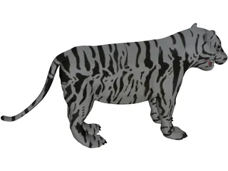Tiger 3D Model preview