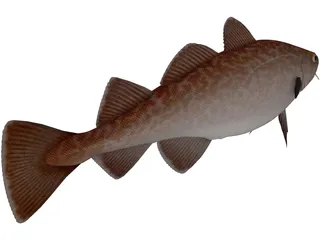 Pacific Cod 3D Model preview