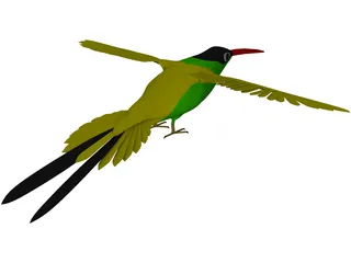 Hummingbird 3D Model preview