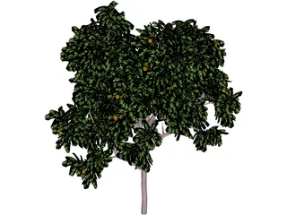 Zitronenbaum 3D Model preview