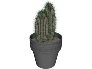 Cactus 3D Model preview