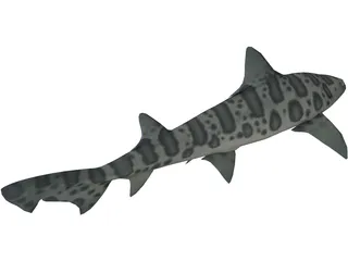 Leopard Shark 3D Model preview