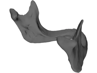 Edentulous Jaw 3D Model preview